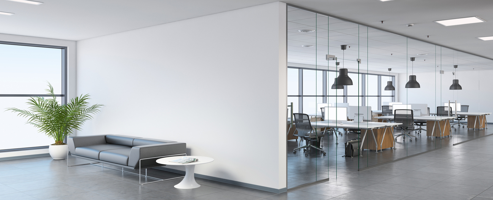 House Cleaning North Sydney