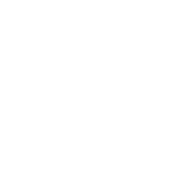 timing icon